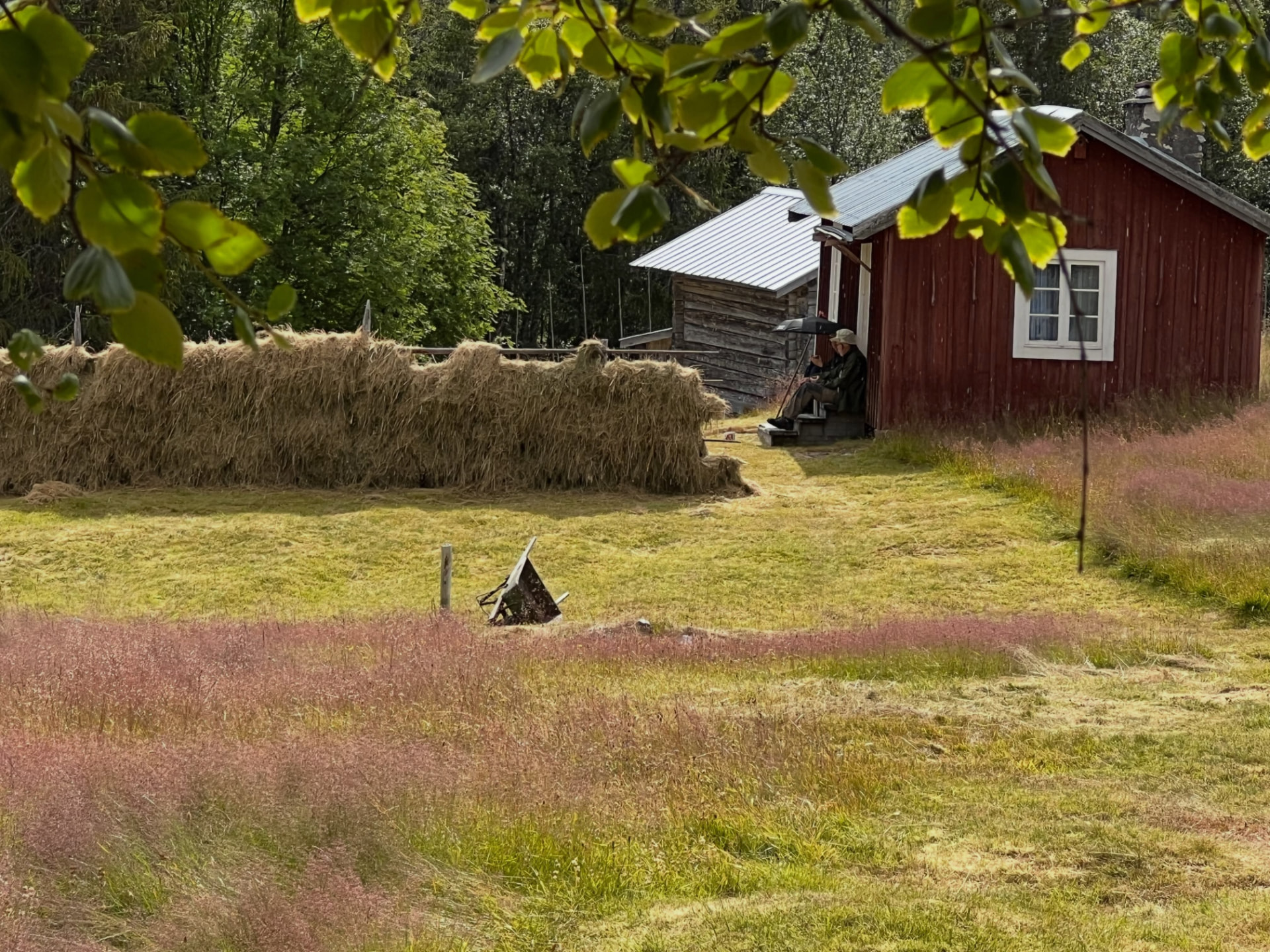 Röd fäbodstuga med hölada